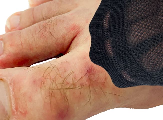 Bambustrumpor utan tåsöm